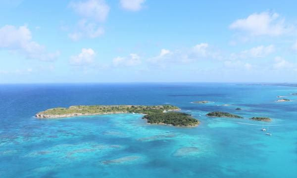 Isole artificiali galleggianti contro il sovrappopolamento