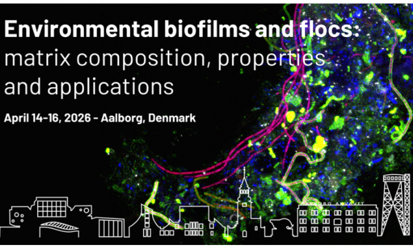 One, No One and One Hundred Thousand*: exploring EPS applicative potentials *Cit. Luigi Pirandello