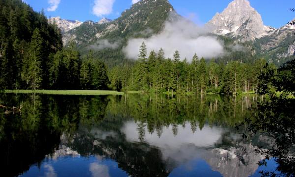 FOREST&ndash;CLIMATE INTERACTIONS BEYOND CARBON: INSIGHTS FROM REGIONAL CLIMATE MODELLING OF LAND ATMOSPHERE PROCESSES