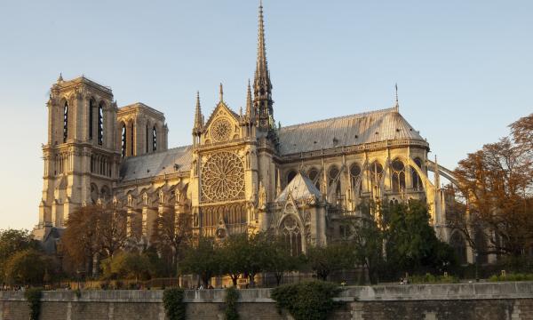 Wind effects on large Gothic cathedrals