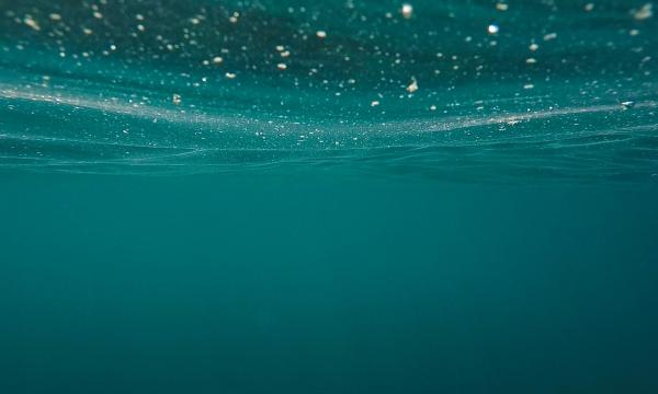 Il ciclo dell&rsquo;acqua e la criosfera alpini in un clima che cambia: dinamiche, impatti e risposte