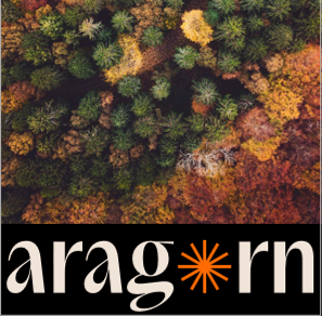 immagine aragorn