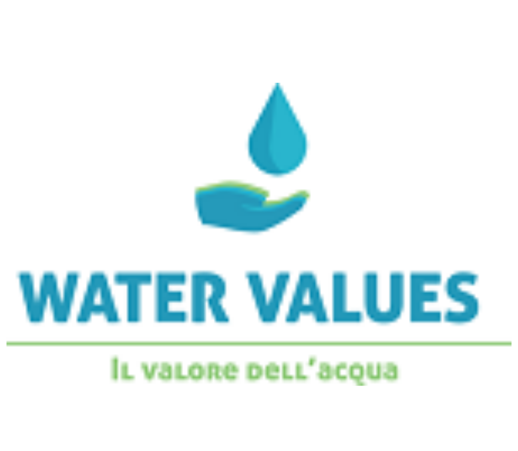 logo - il valore dell'acqua